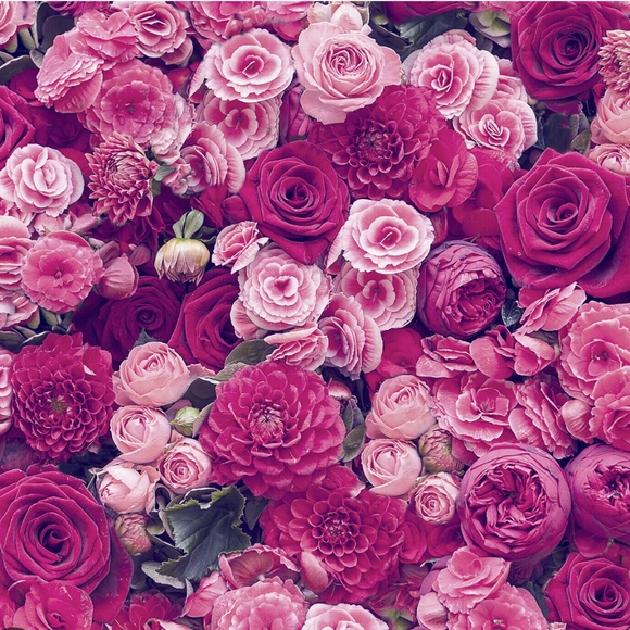 refinedrosy